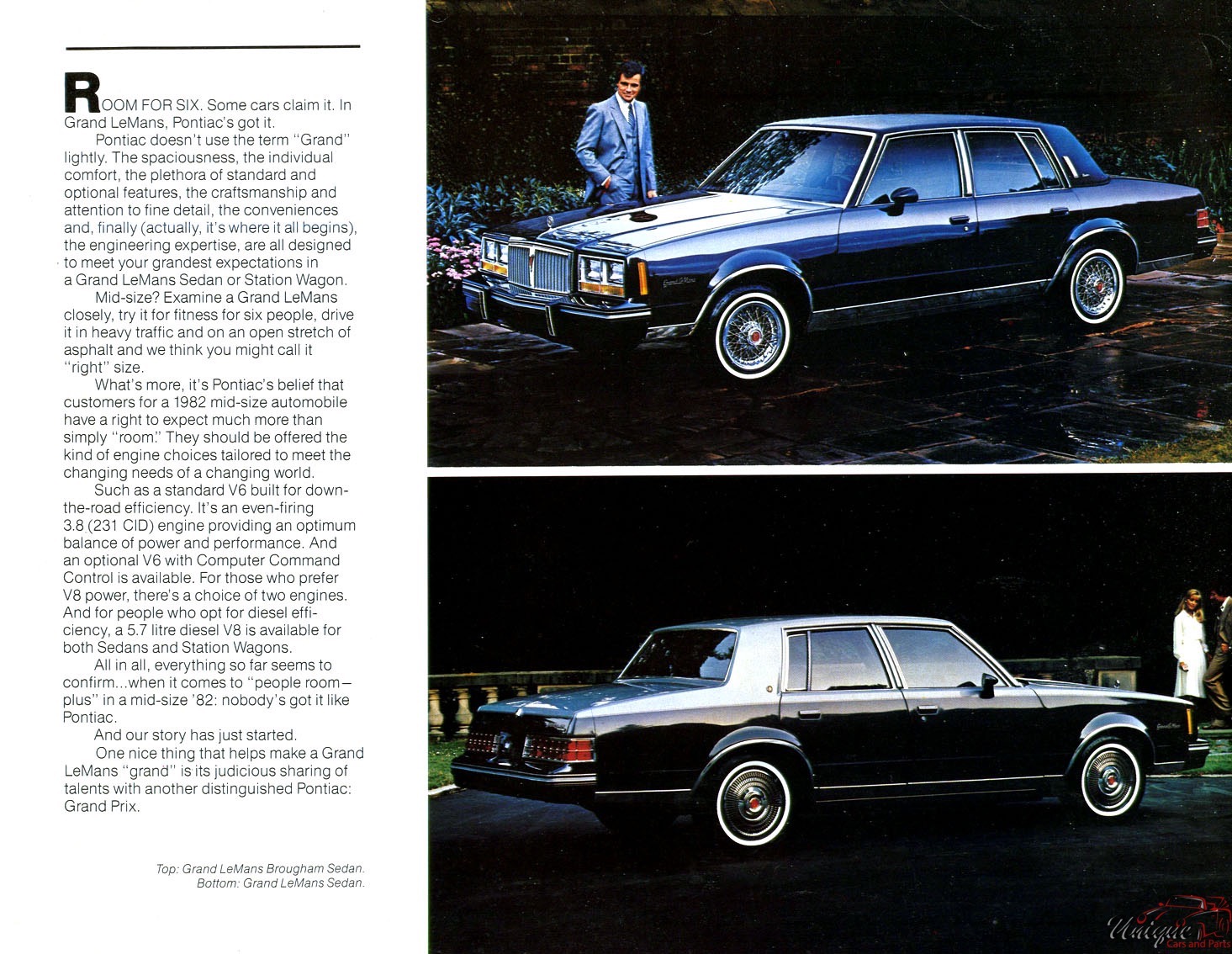 1982 Pontiac Firebird Grand LeMans Brochure Page 4